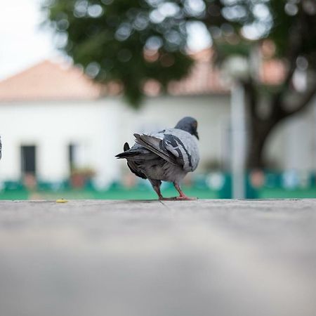 Appartamento Casa Santa Marinha Lisbona Esterno foto